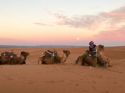 Quad agafay and camel